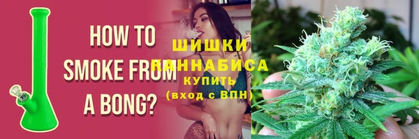 стаф Беломорск
