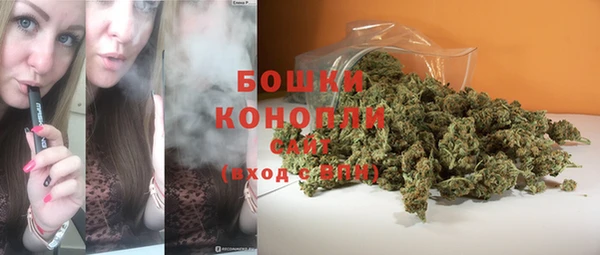 стаф Беломорск