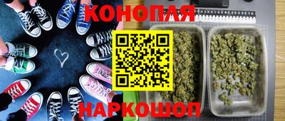 дживик Моздок