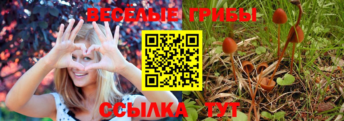 Галлюциногенные грибы GOLDEN TEACHER Видное