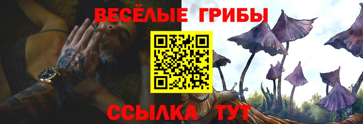 Видное  Псилоцибиновые грибы прущие грибы  Вход с VPN 